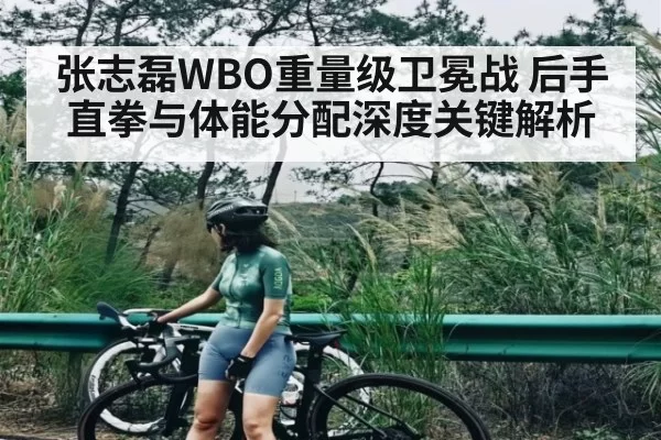 张志磊WBO重量级卫冕战 后手直拳与体能分配深度关键解析